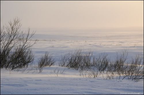 Путешествие за Полярный круг